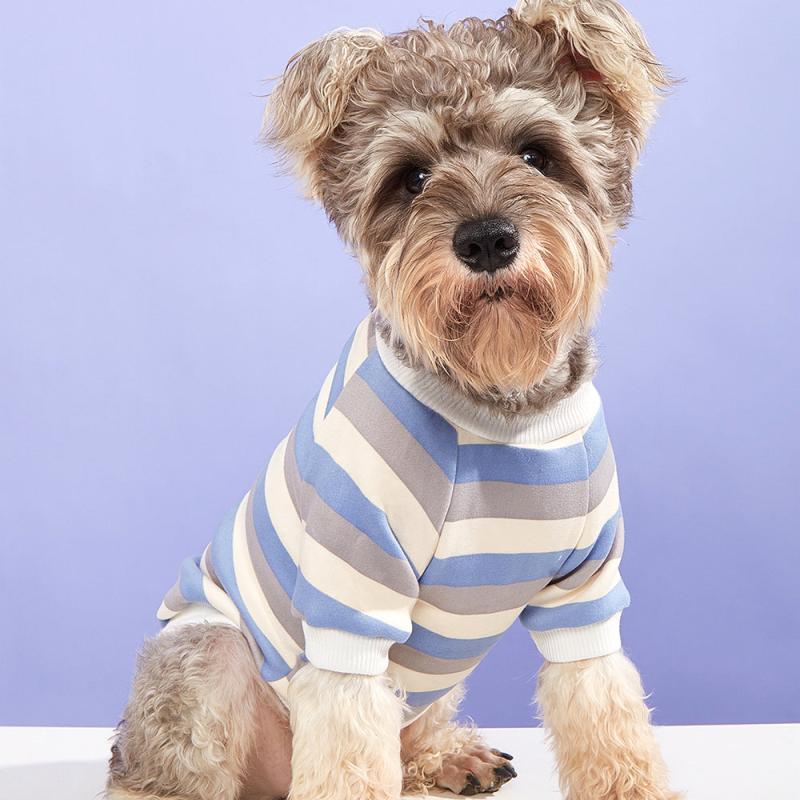 Striped Pet T Shirt for Small and Medium Pets - Winter Warmth and Style