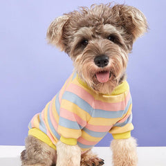 Striped Pet T Shirt for Small and Medium Pets - Winter Warmth and Style