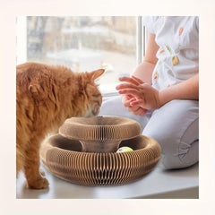 Interactive Cat Scratch Board & Ball Toy - Foldable Scratching Mat