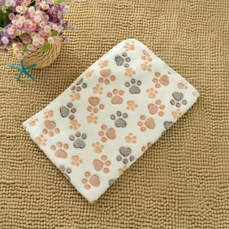 Four Seasons Warm Coral Velvet Pet Blanket