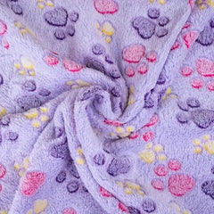 Four Seasons Warm Coral Velvet Pet Blanket