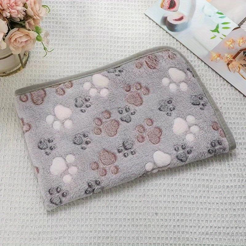 Four Seasons Warm Coral Velvet Pet Blanket