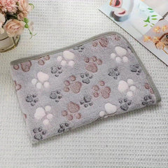 Four Seasons Warm Coral Velvet Pet Blanket