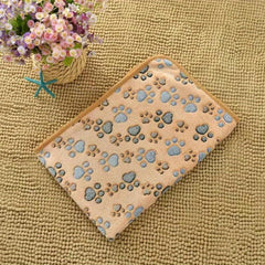 Four Seasons Warm Coral Velvet Pet Blanket