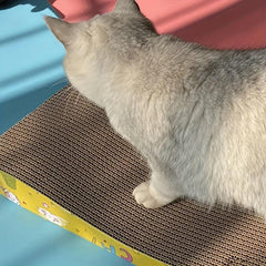 Durable Double Sided Cat Scratch Pad Cardboard Toy