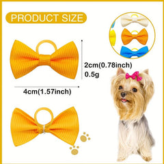 30pcs Pet Hair Accessories Solid Hair Ties for Dogs & Cats