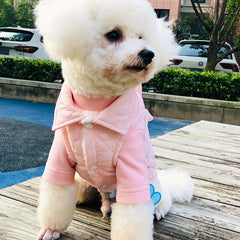 Dog Coat With Bowknot Decor Winter Warm Puppy Vest Pet Padded Jacket