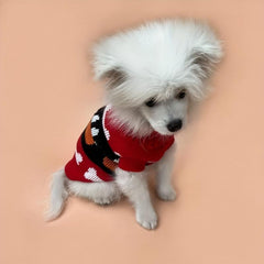 Bone & Paw Graphic Turtle Neck Sweater for Your Stylish Dog