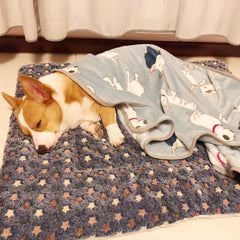 Cozy Flannel Dog Bed with Blanket