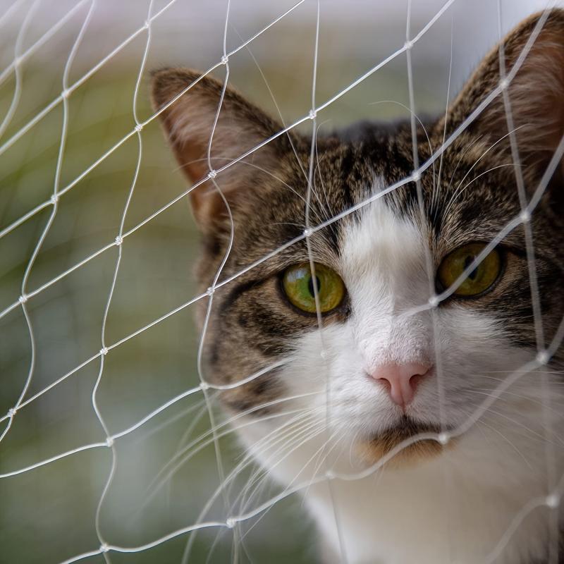 Transparent Cat Safety Net for Balcony and Stairs