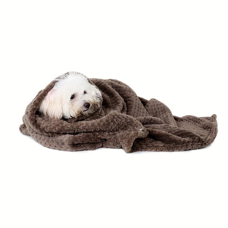 Thick Warm Pet Blanket for Autumn & Winter Dog Sleeping Mat