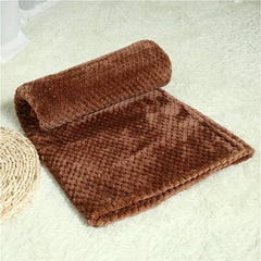 Thick Warm Pet Blanket for Autumn & Winter Dog Sleeping Mat