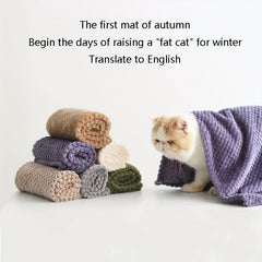 Thick Warm Pet Blanket for Autumn & Winter Dog Sleeping Mat