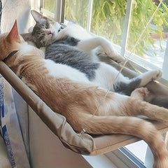 Cat Hammock Window Cat Bed Suction Cup Hanging Cat Nest