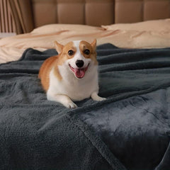 Waterproof Pet Blanket for Bed Couch Sofa Warm Flannel Sleep Dog Cat