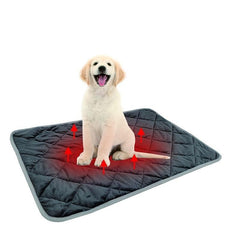 Self Heating Pet Mat for Warmth and Comfort
