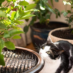 Outdoor Cat Scat Mat with Spikes Pest Repellent
