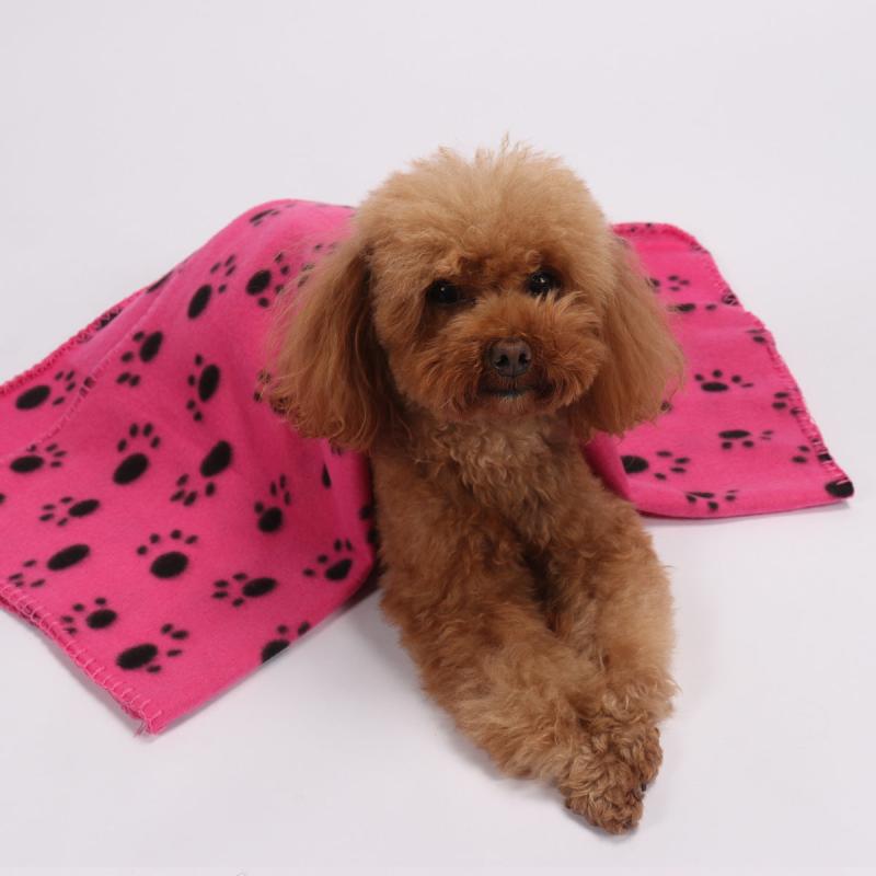 Soft Warm Fleece Dog Bed Pet Blanket Cats Bed Mat
