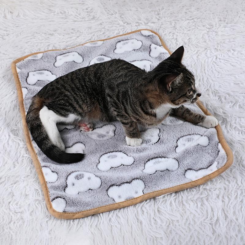 Coral Cartoon Bear Pet Blanket for Small Cats & Dogs
