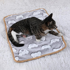 Coral Cartoon Bear Pet Blanket for Small Cats & Dogs
