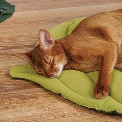 Double Sided Leaf Pet Mat for Cats and Dogs