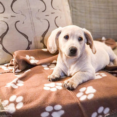 6 Pack Warm Paw Print Dog Blanket Bed Covers