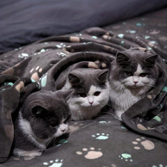 Paw Printed Pet Blanket Soft Warm Cat Dog Bed Blanket