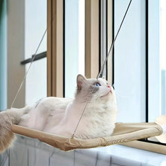 Pet Hammock Suction Cup Cat Hammock Cat Sleeping Bed