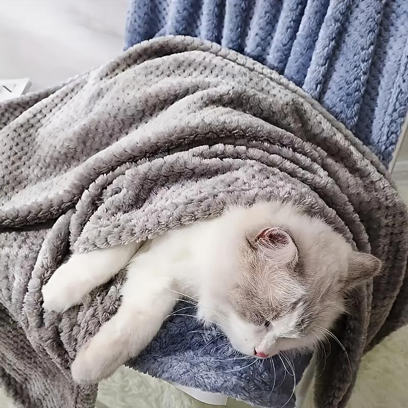 Soft Pet Blanket for Small Dog Cat Comfortable Mat