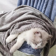 Soft Pet Blanket for Small Dog Cat Comfortable Mat