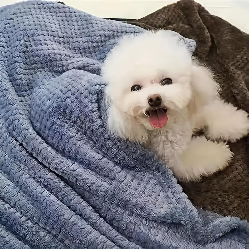Soft Pet Blanket for Small Dog Cat Comfortable Mat