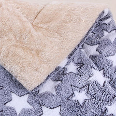 Grey Bear Pattern Double Layer Pet Cushion All Seasons Cat Mat