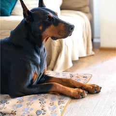 3 Pack Paw Print Pet Blankets - Washable & Perfect for Large Pets