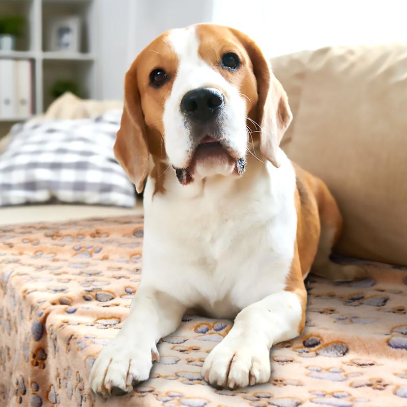 3 Pack Paw Print Pet Blankets - Washable & Perfect for Large Pets