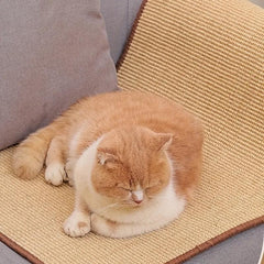 Sisal Cat Scratcher Mat with Magic Stickers - Durable Scratch Pad