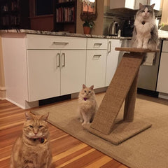 Sisal Cat Scratcher Mat Soft Scratch Pad Durable Protect Furniture