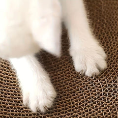 Large Cat Scratching Mat Interactive Toy Pad for Small & Large Cats