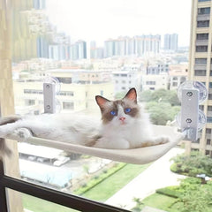 Foldable Cat Hammock Window Bed Suction Cup Hanging Perch