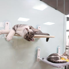 Foldable Cat Hammock Window Bed Suction Cup Hanging Perch