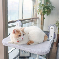 Foldable Cat Hammock Window Bed Suction Cup Hanging Perch