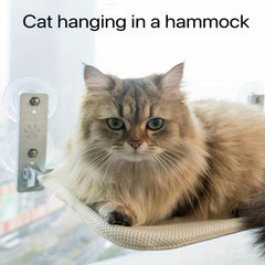 Foldable Cat Window Perch Strong Suction Cup Cat Hammock