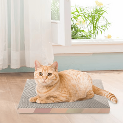 Durable Cat Scratching Cardboard Cat Toy
