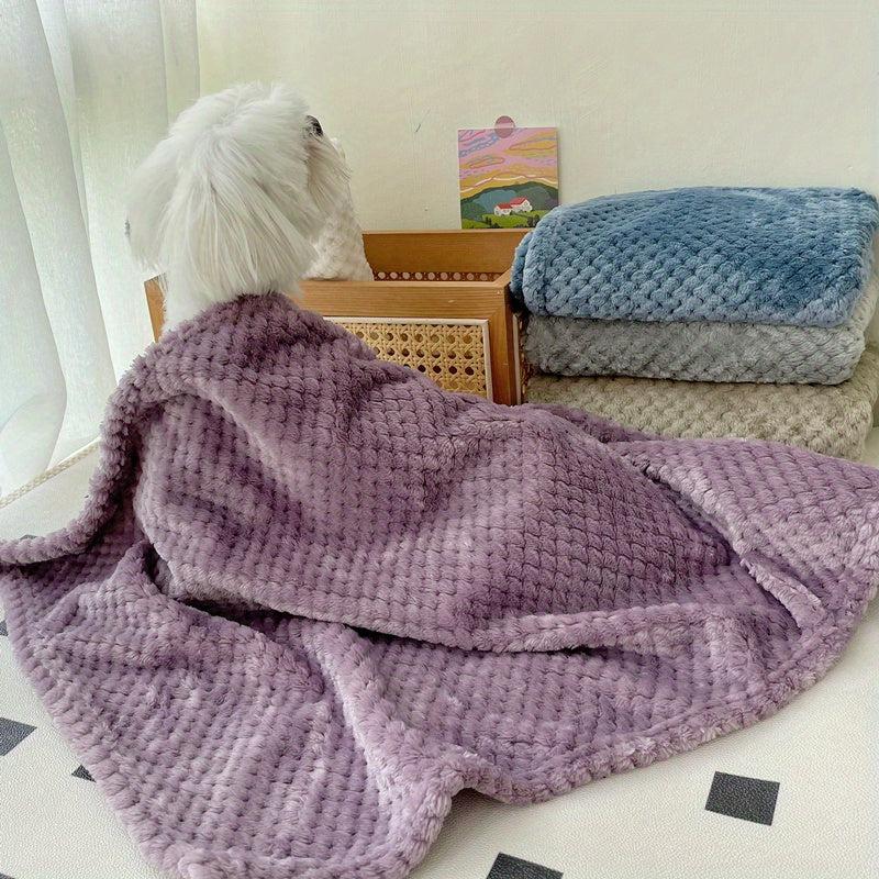 Warm Pet Blanket for Winter Season, Dog and Cat Bed Mat
