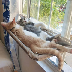 Cat Hammock with Suction Cups for Window Perching