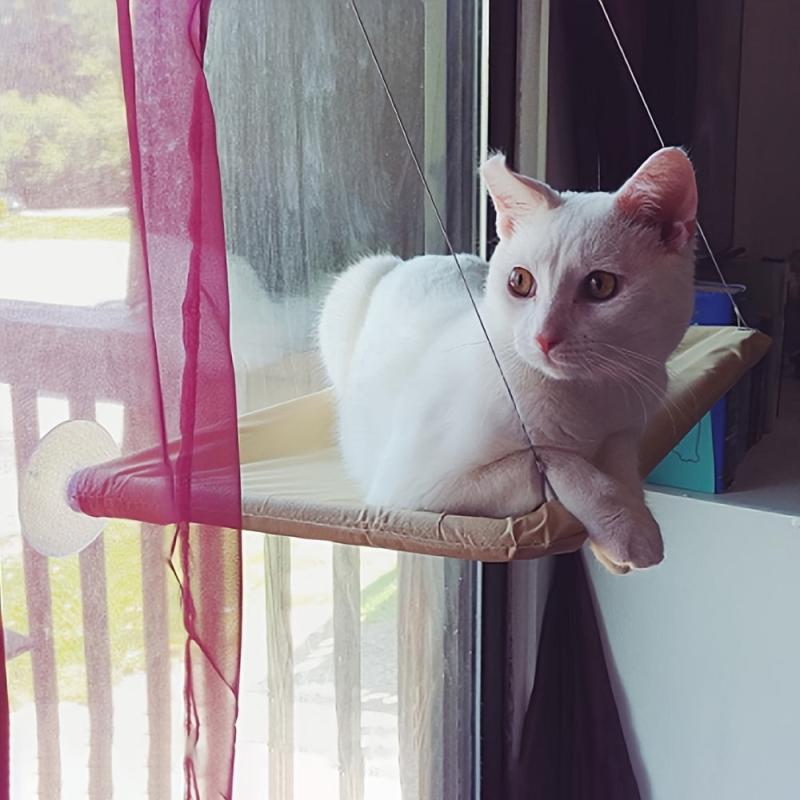 Cat Hammock with Suction Cups for Window Perching