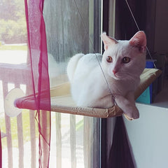 Cat Hammock with Suction Cups for Window Perching