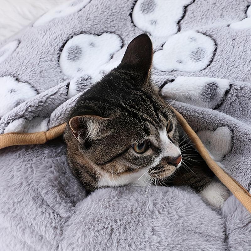 Soft Cartoon Bear Pet Blanket for Cats and Dogs