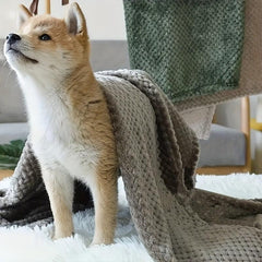 Dog Cat Blanket Coral Fleece Warm Soft Blanket for Bed Couch Sofa