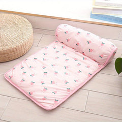 Anti Slip Pet Bed Mat with Pillow