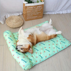Anti Slip Pet Bed Mat with Pillow